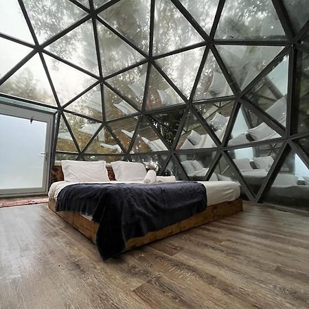 Quinta Do Abacate - Glamping Park Villa Angra do Heroísmo Dış mekan fotoğraf